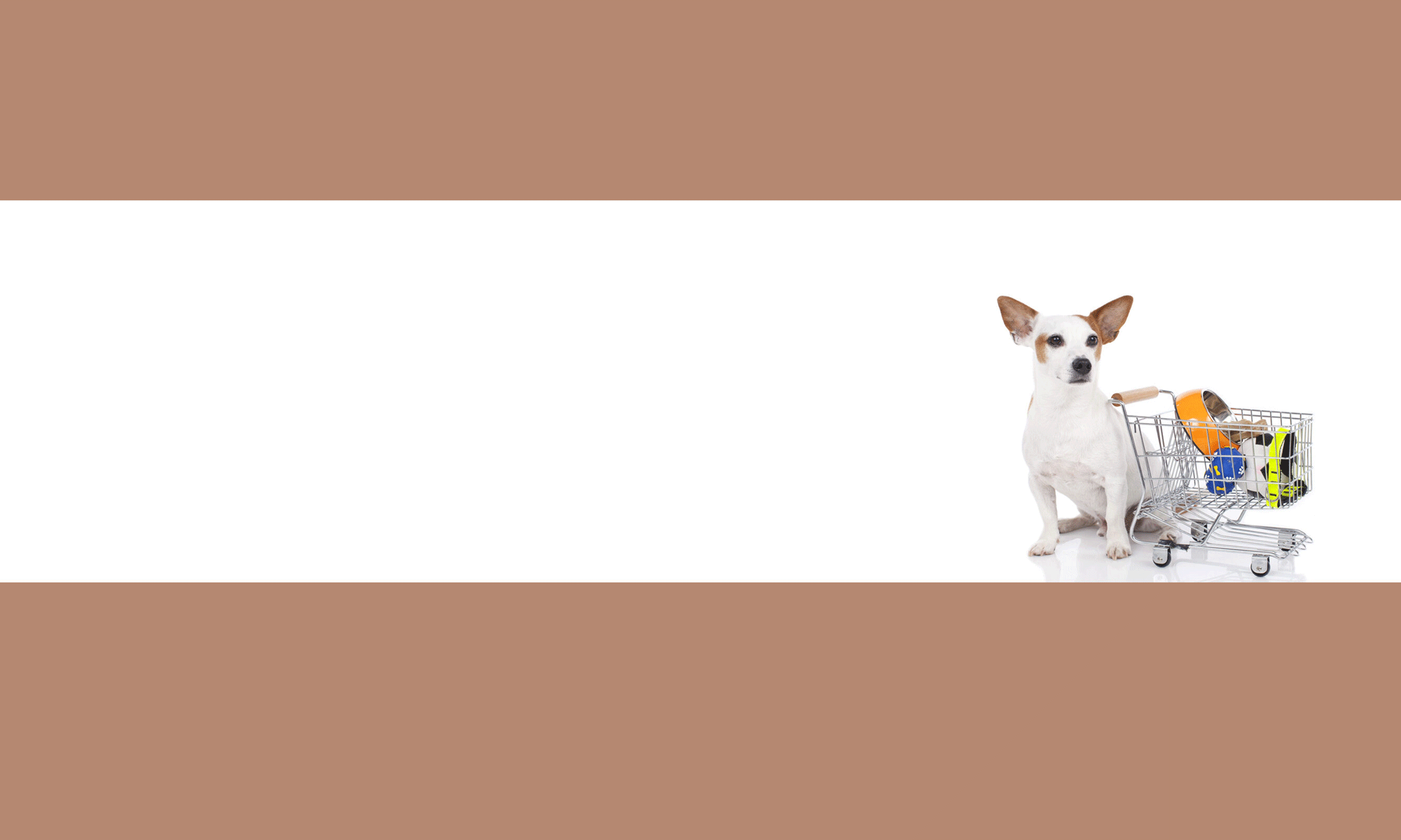 Товары для животных